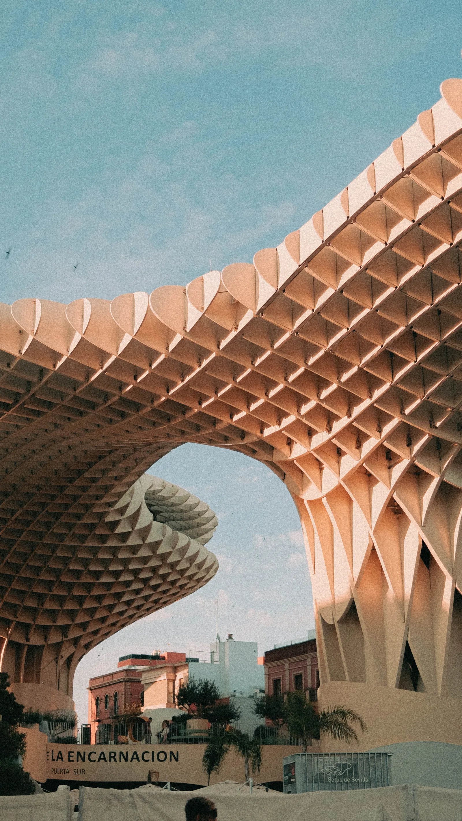 Metropol Parasol