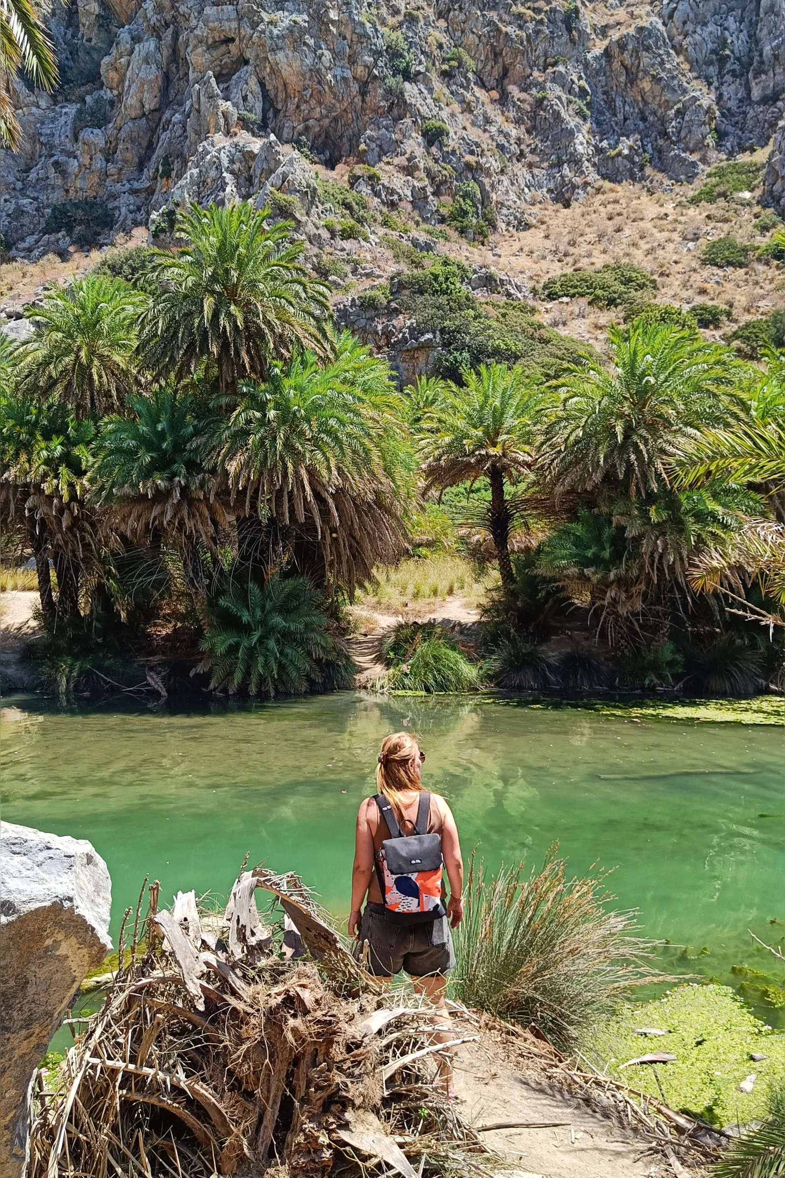 Preveli Viewpoint